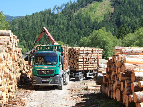 Holzarbeiten von Colloredo-Mannsfeld